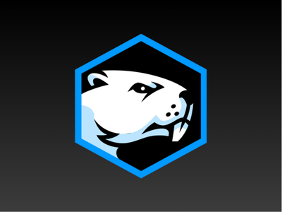 Battle Beaver Controller Upgrades